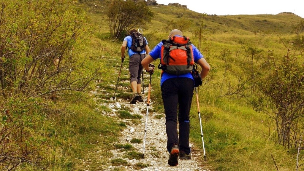 中高年の登山にはトレッキングポールを│中高年の生きがいづくりを応援するブログ